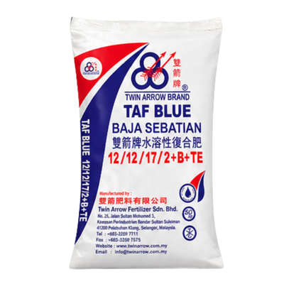 TAF 12