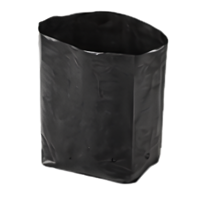 polybag