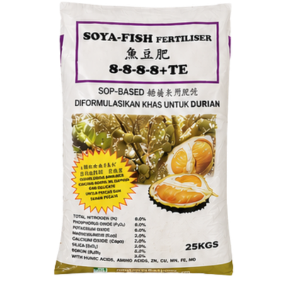 Soya Fish